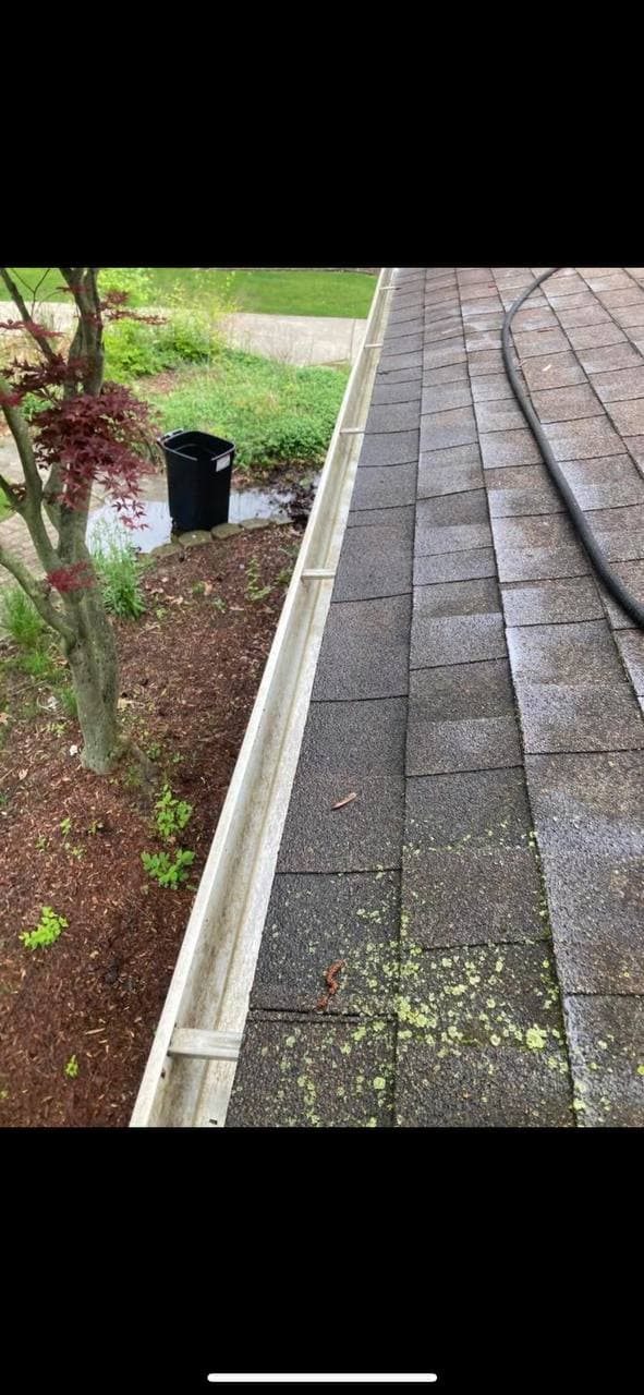 Gutter Cleaning