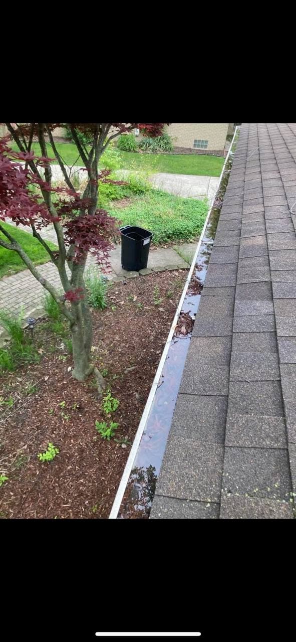 Before — clogged gutters